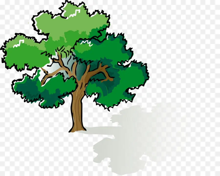 Naungan Pohon，Pohon PNG