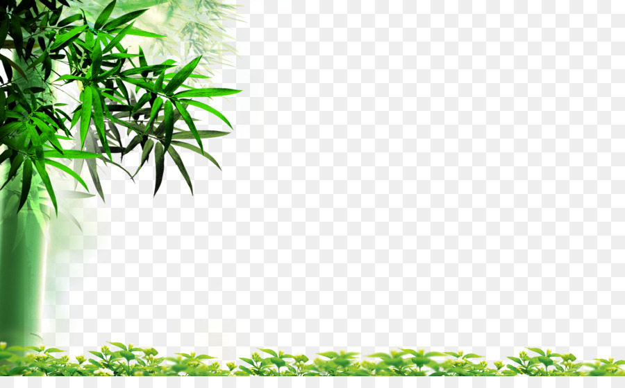  Daun Bambu Highdefinition Televisi gambar png