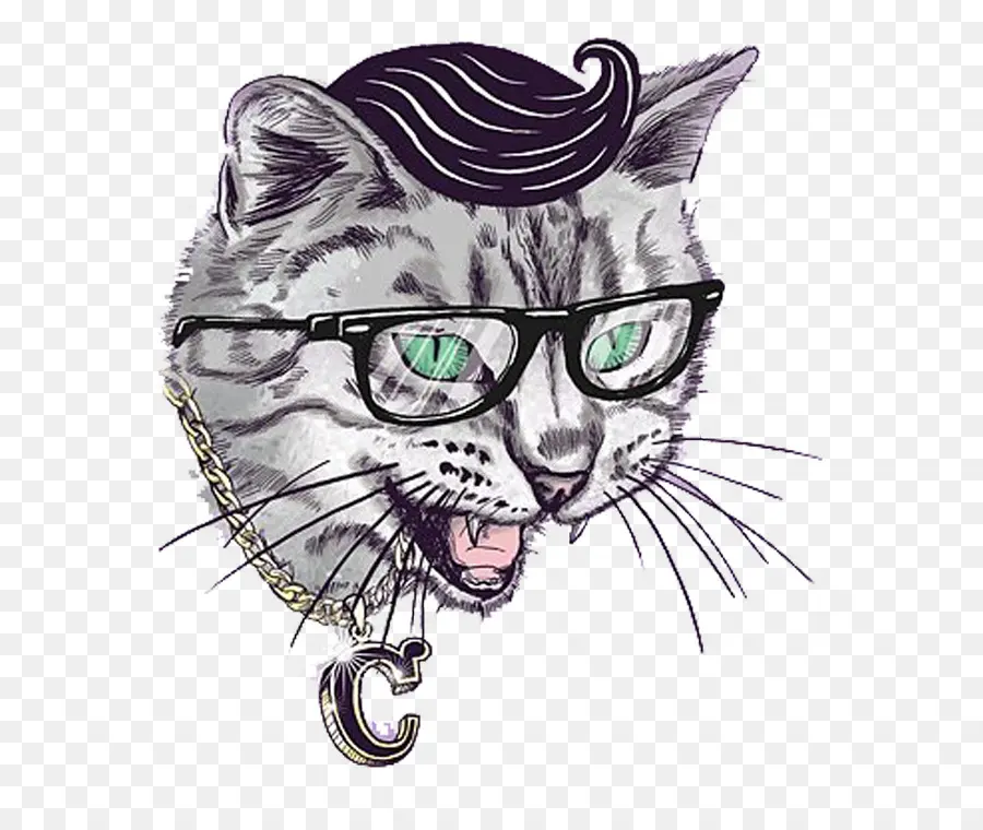 Kucing，Ilustrator PNG