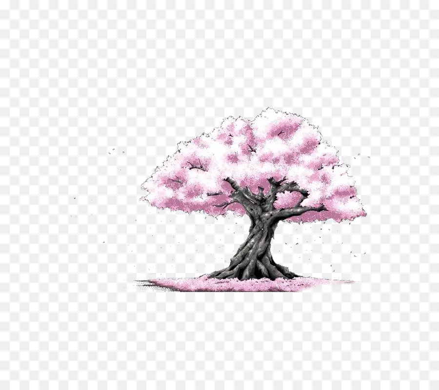 Sakura，Pohon PNG