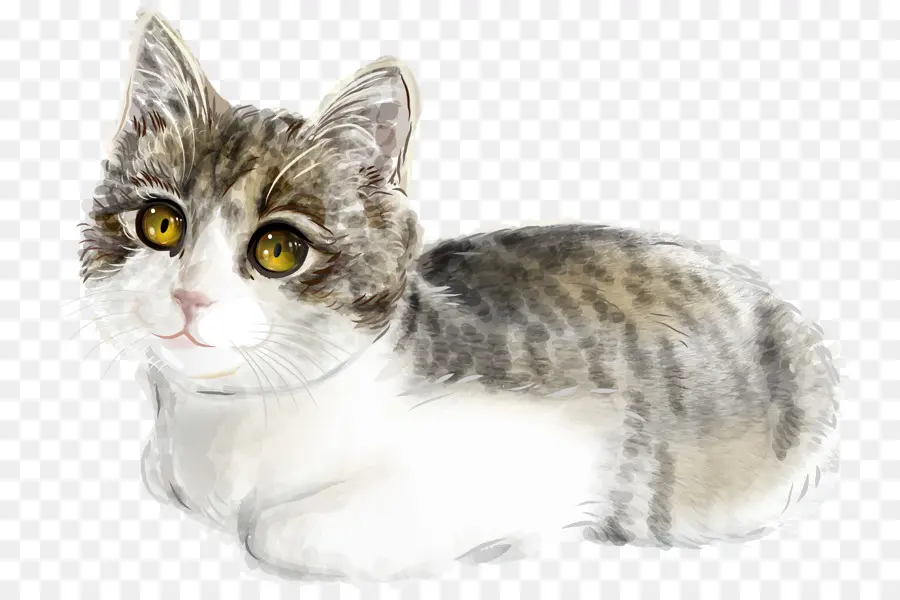Kucing，Tabby Kucing PNG