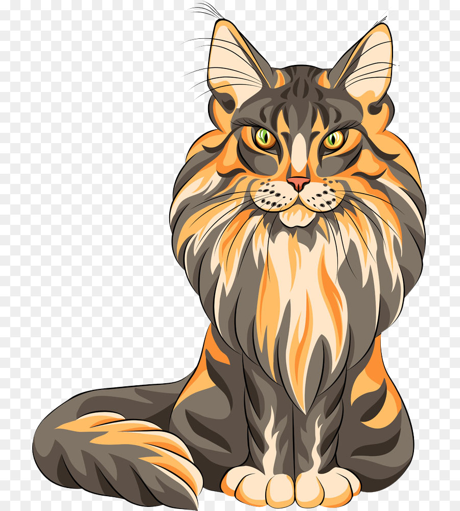 Maine Coon