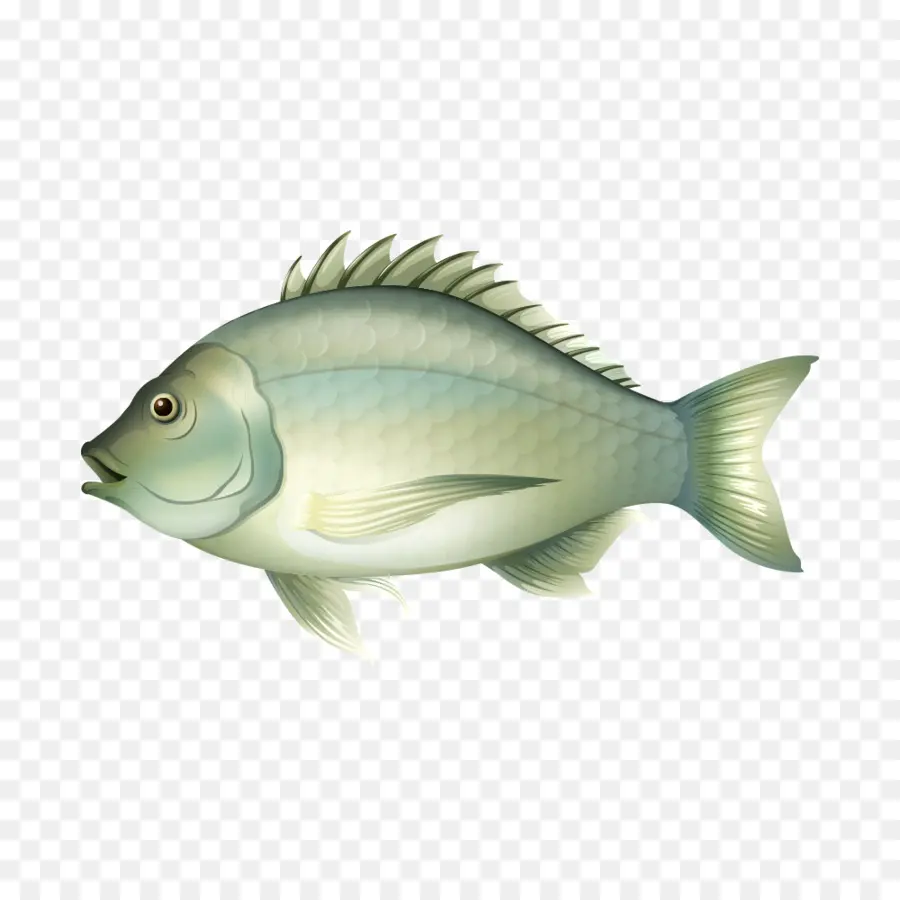 Ikan，Akuatik PNG