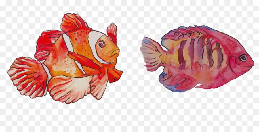 Lukisan Cat Air，Clownfish PNG