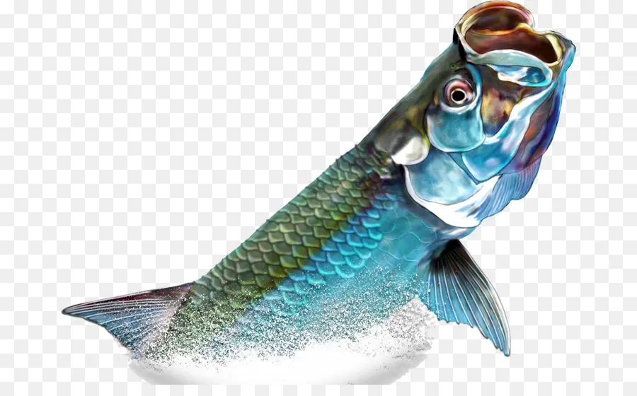 Melompat Ikan，Air PNG