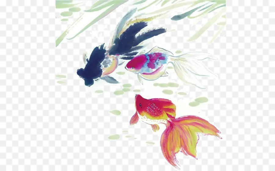 Ikan Mas，Tinta Mencuci Lukisan PNG
