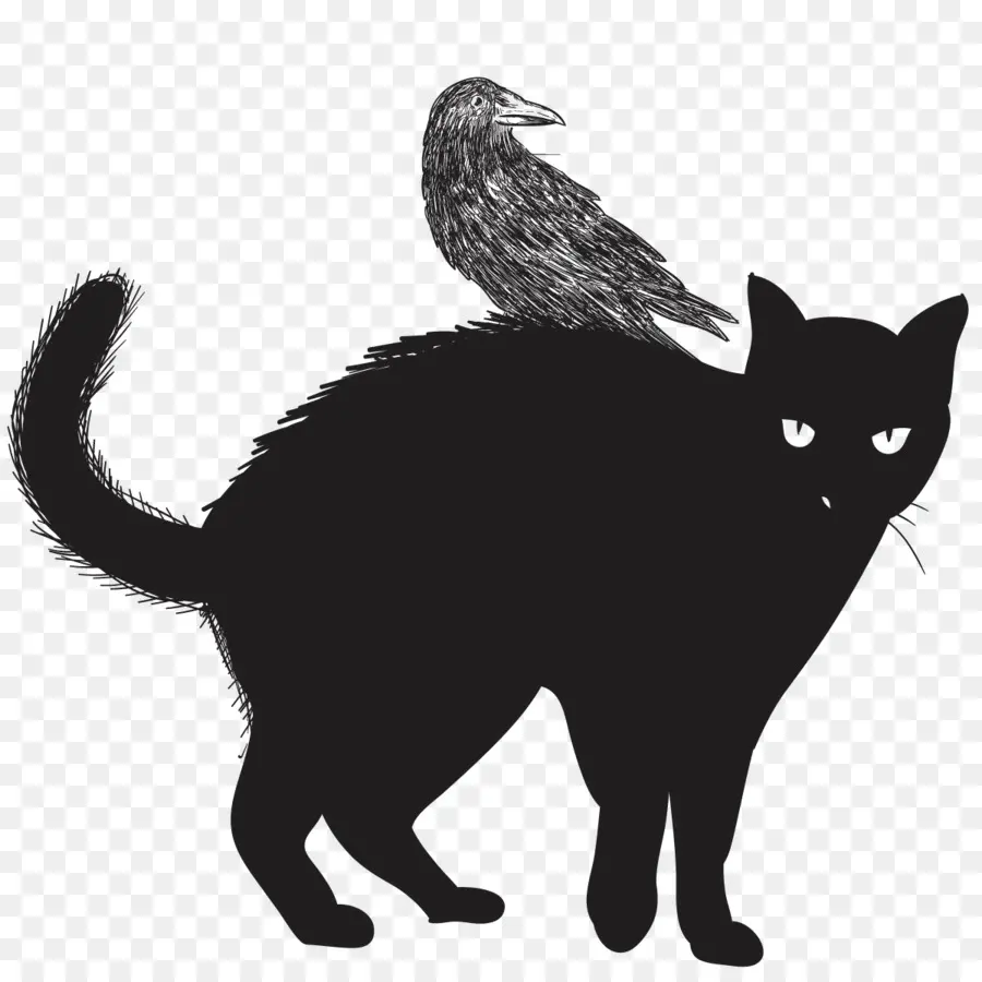 Kucing Hitam Dan Gagak，Bayangan Hitam PNG