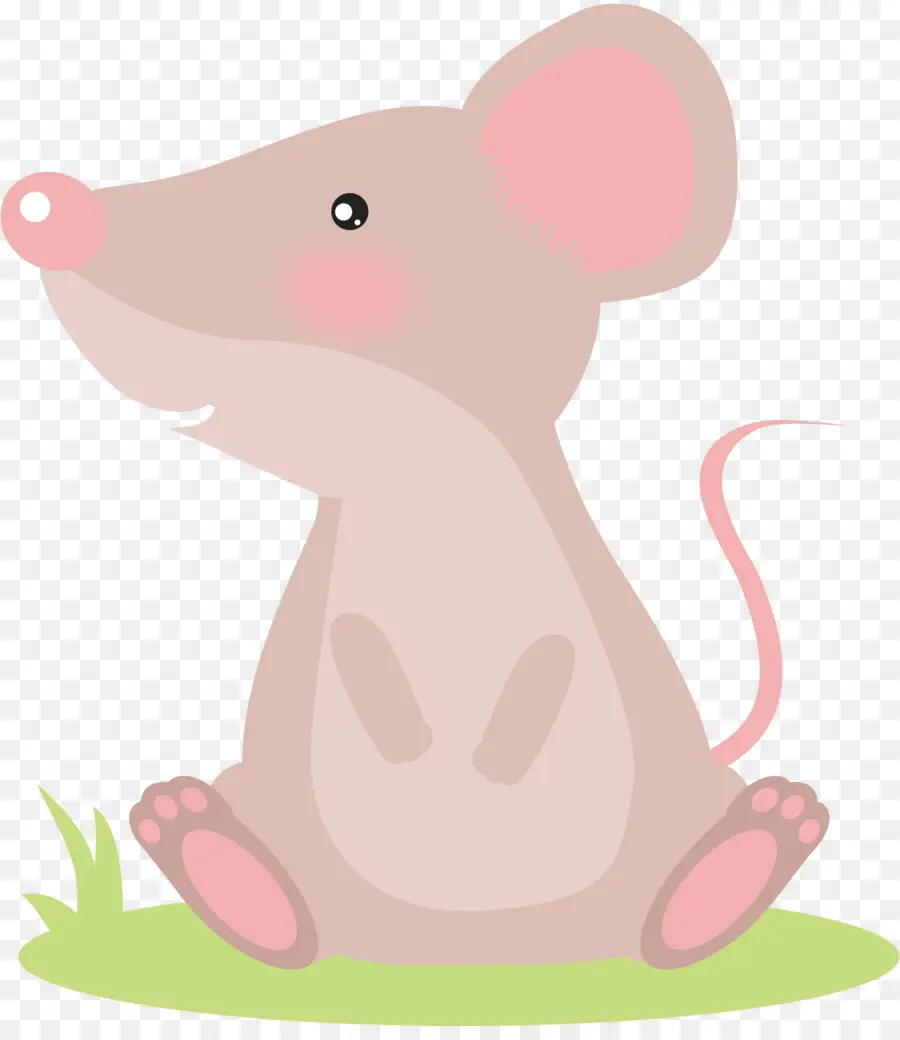 Mouse Komputer，Tikus PNG