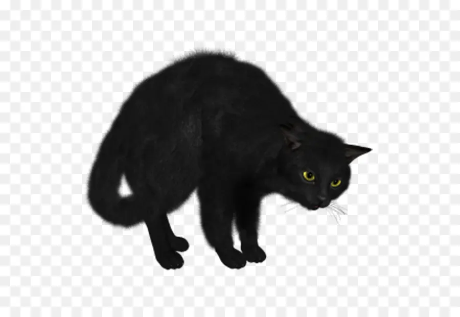 Kucing Hitam，Mata Hijau PNG