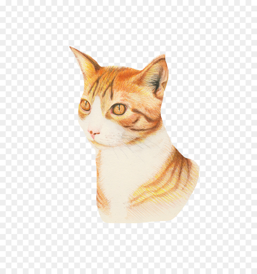 Kucing，Licik PNG