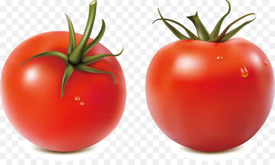 Salsa，Tomat PNG