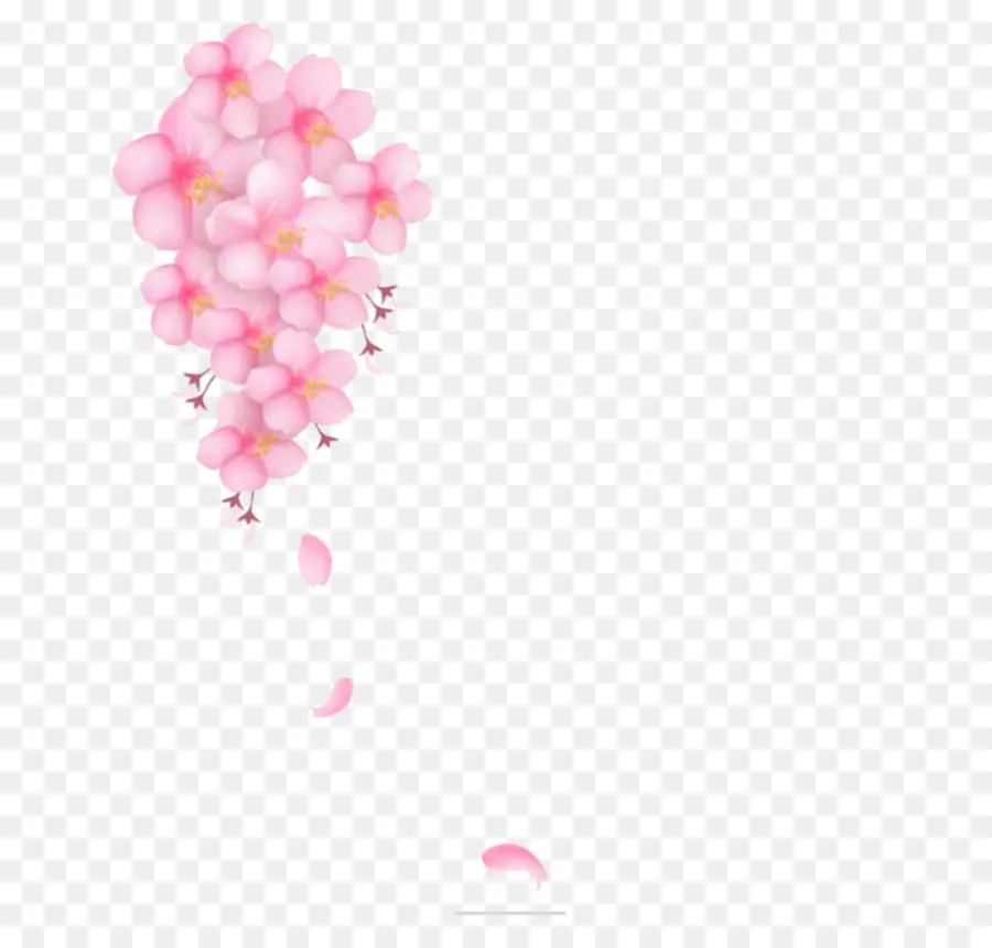 Sakura，Pink PNG
