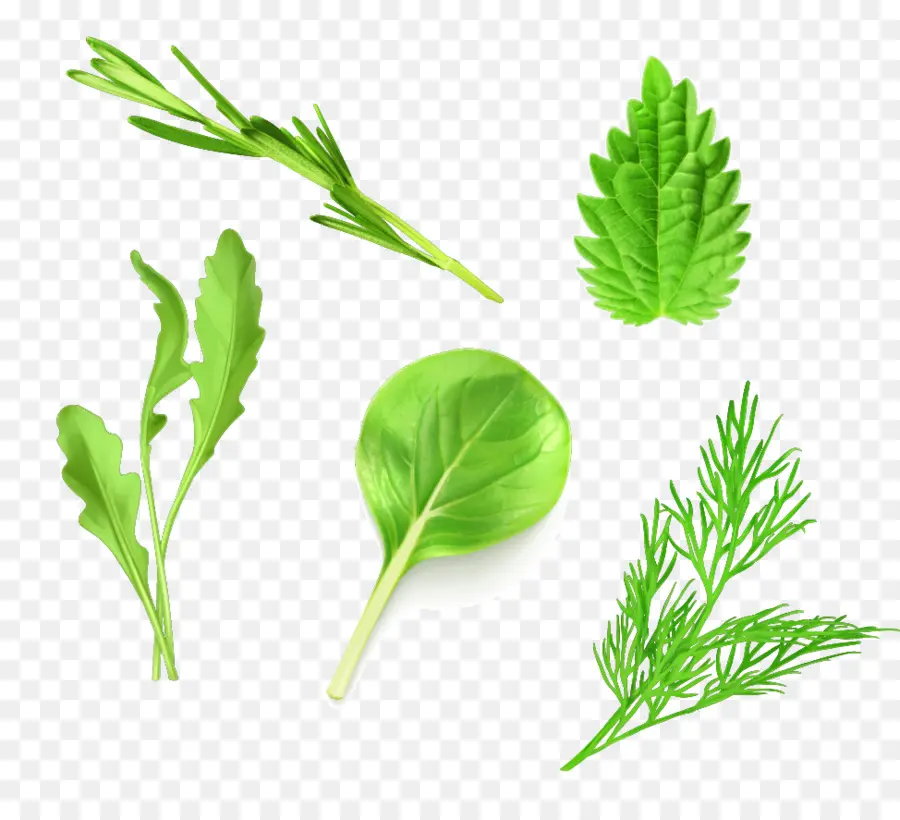 Herbal，Kuliner PNG