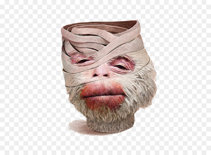 Rhesus Makak，Monyet PNG