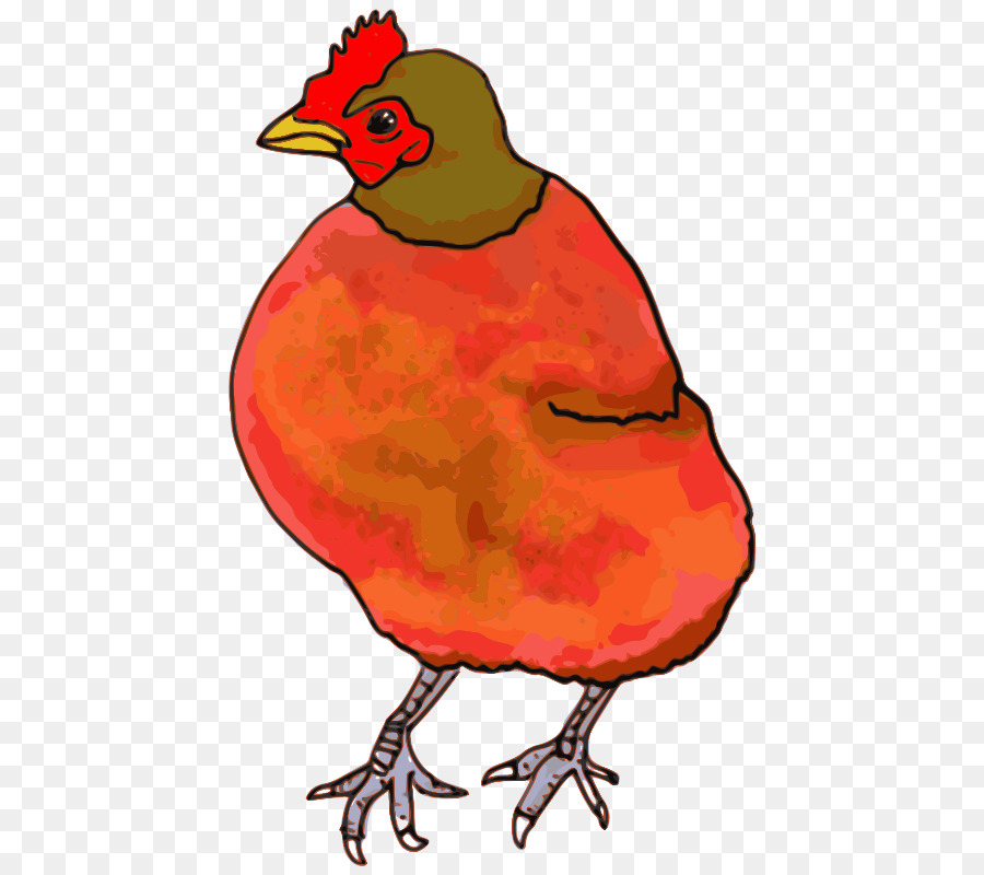 Sedikit Merah Hen，Ayam PNG