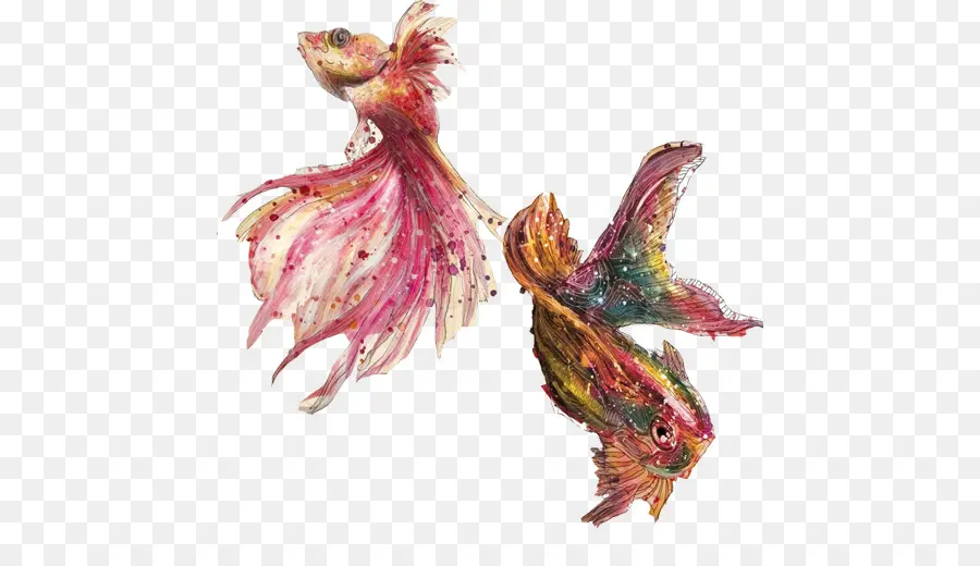 Ikan Mas，Lukisan Cat Air PNG