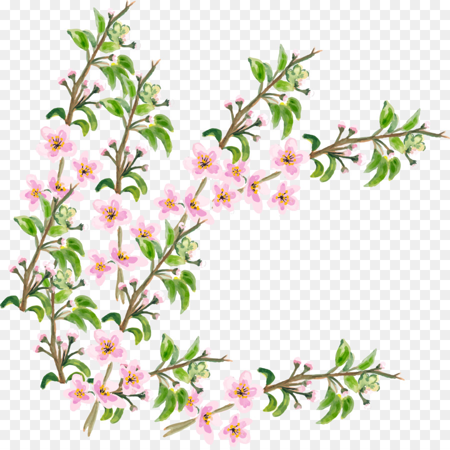 Paling Keren 27+ Gambar Bunga Sakura Untuk Dilukis ...