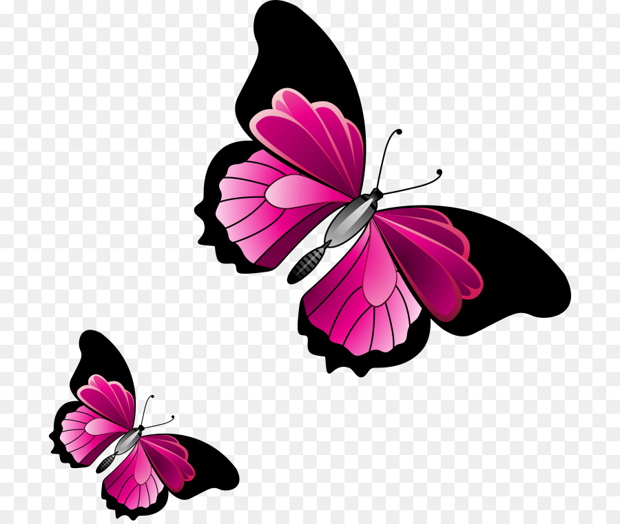 kupu kupu monarch kupu kupu pink gambar png kupu kupu monarch kupu kupu pink