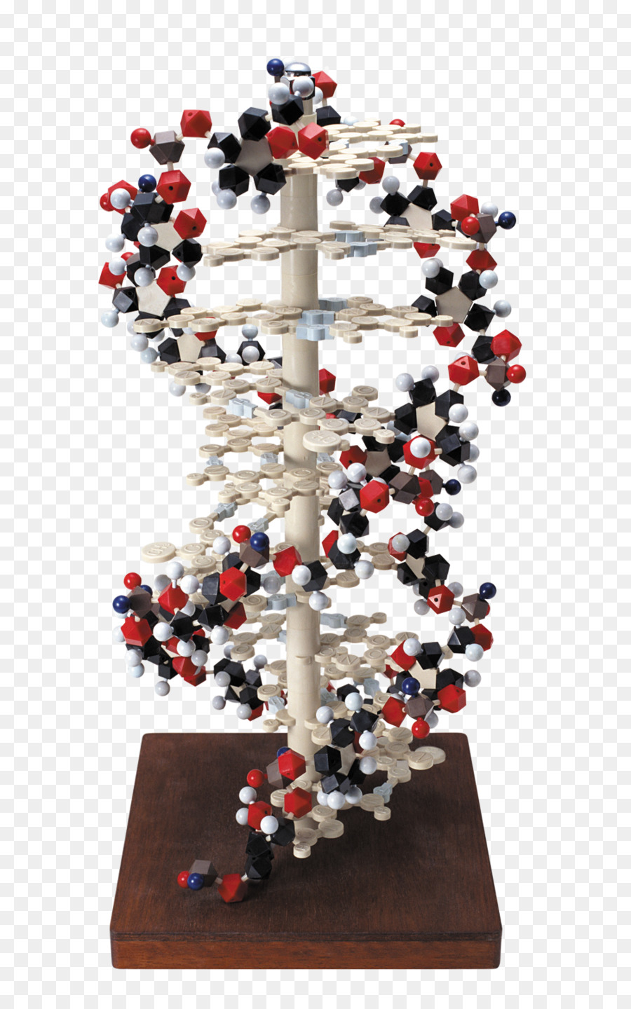 Model Dna，Molekul PNG