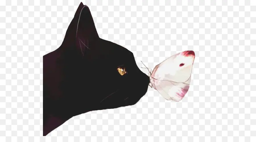 Kucing Hitam，Kupu Kupu PNG