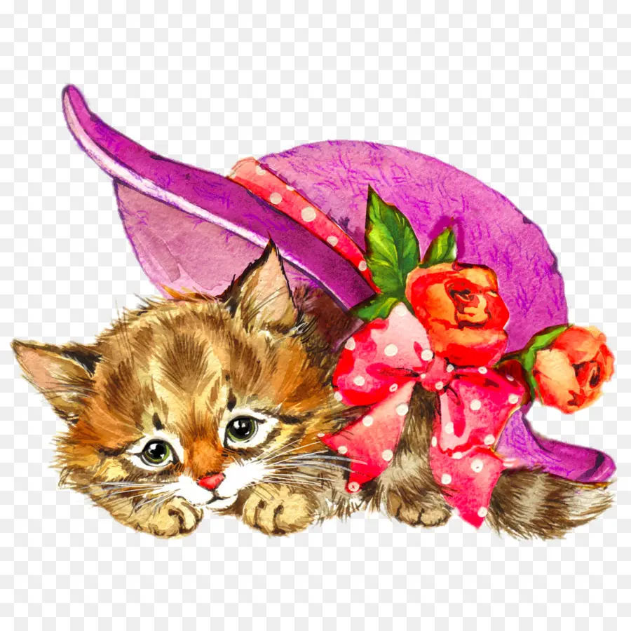 Kucing，Cat Air Bunga PNG