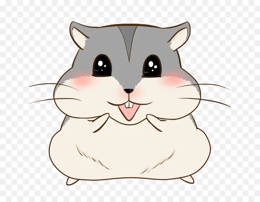 Hamster，Kucing PNG