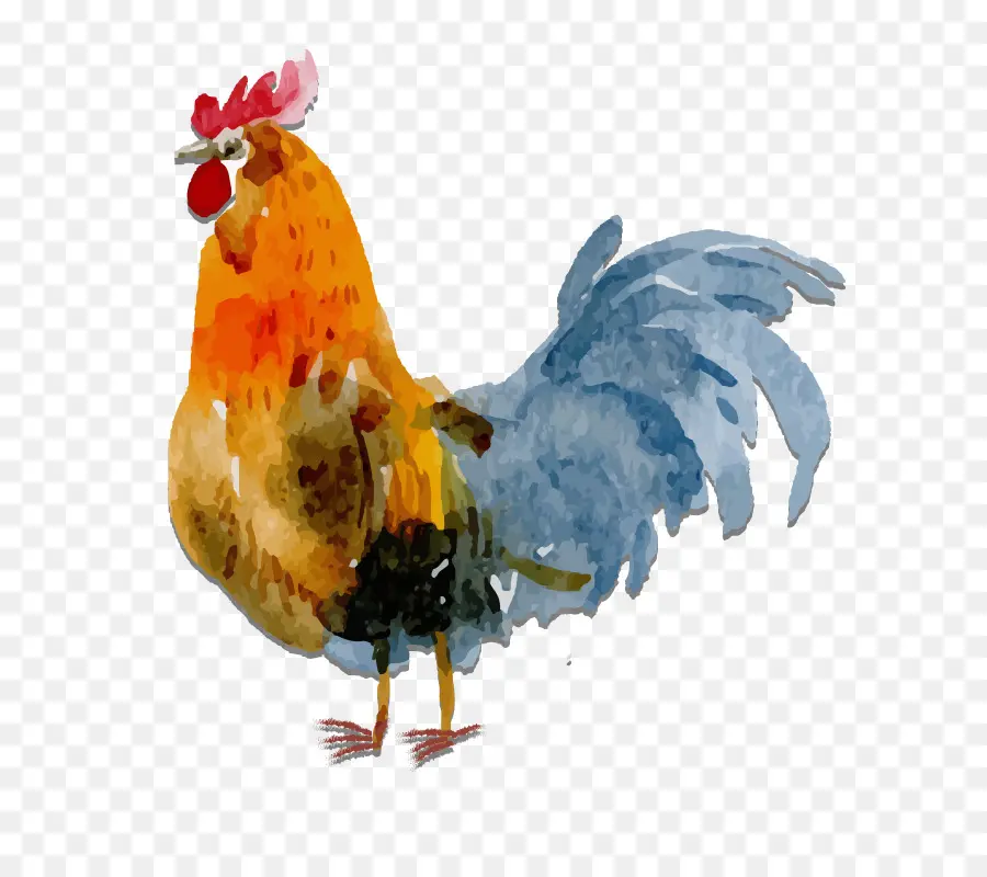 Ayam，Lukisan Cat Air PNG