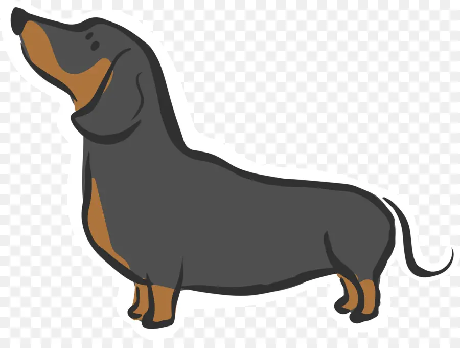 Dachshund Hitam，Anjing PNG