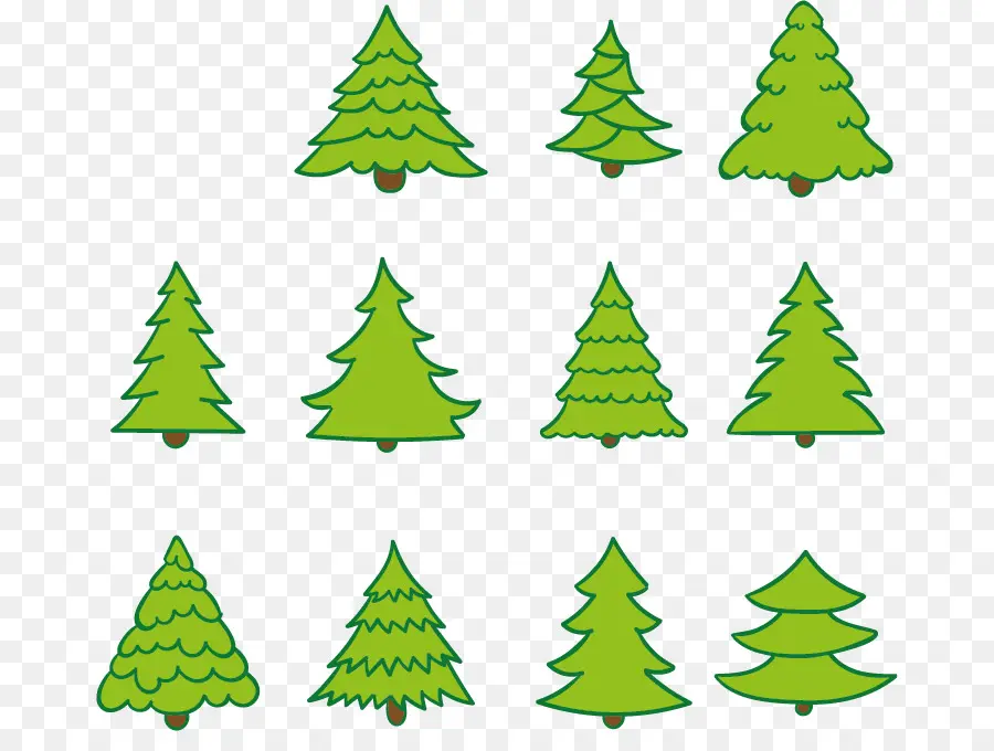 Pohon Natal，Pinus PNG