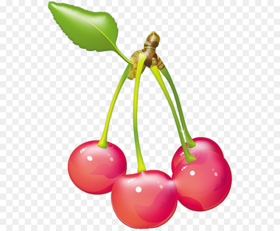 Cherry，Adobe Ilustrator PNG