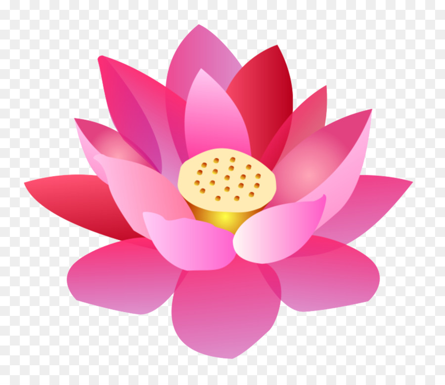 Terkeren 19+ Gambar Bunga Lotus Kartun - Gambar Bunga Indah