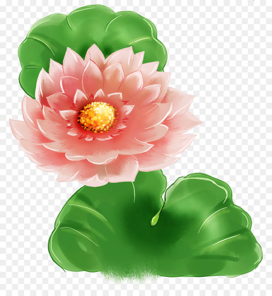 27+ Gambar Bunga Lotus Kartun - Galeri Bunga HD