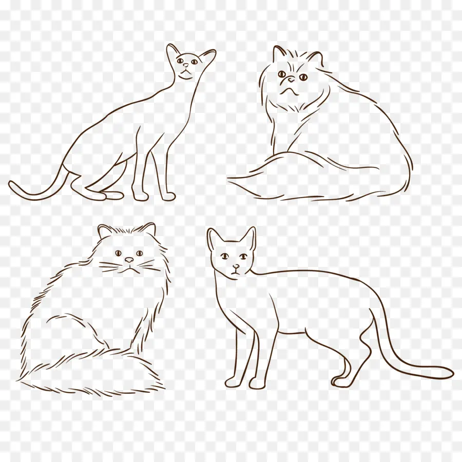 Ilustrasi Kucing，Licik PNG