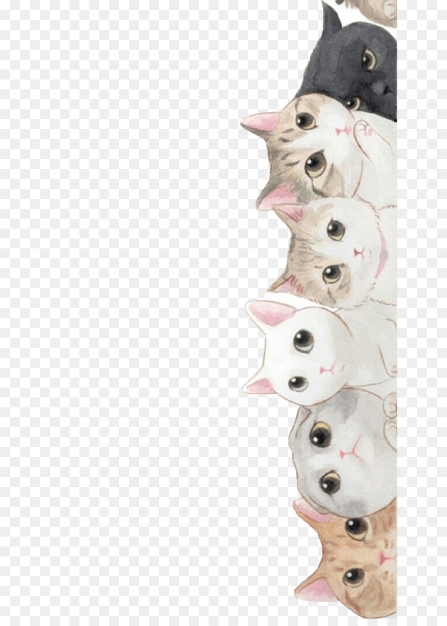 Kucing Wallpaper Kucing Anjing Gambar Png
