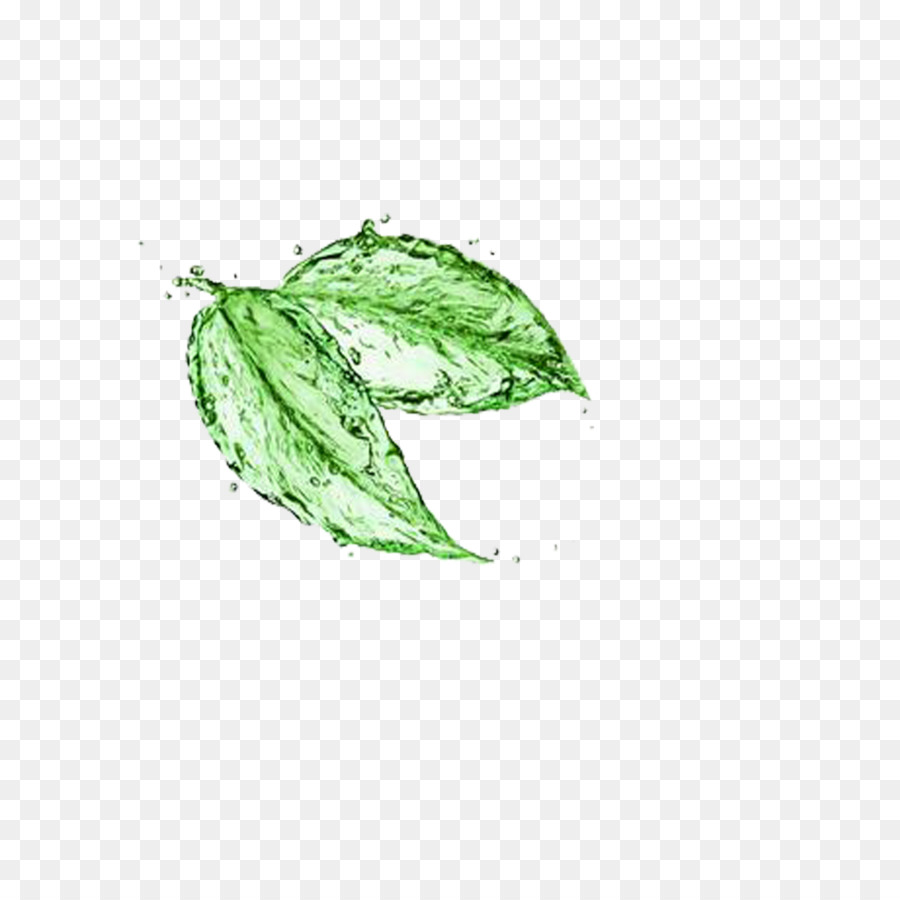  Daun  Matcha Png