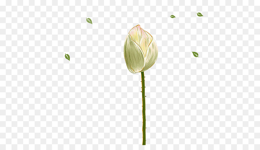 Nelumbo Nucifera，Unsur Kimia PNG