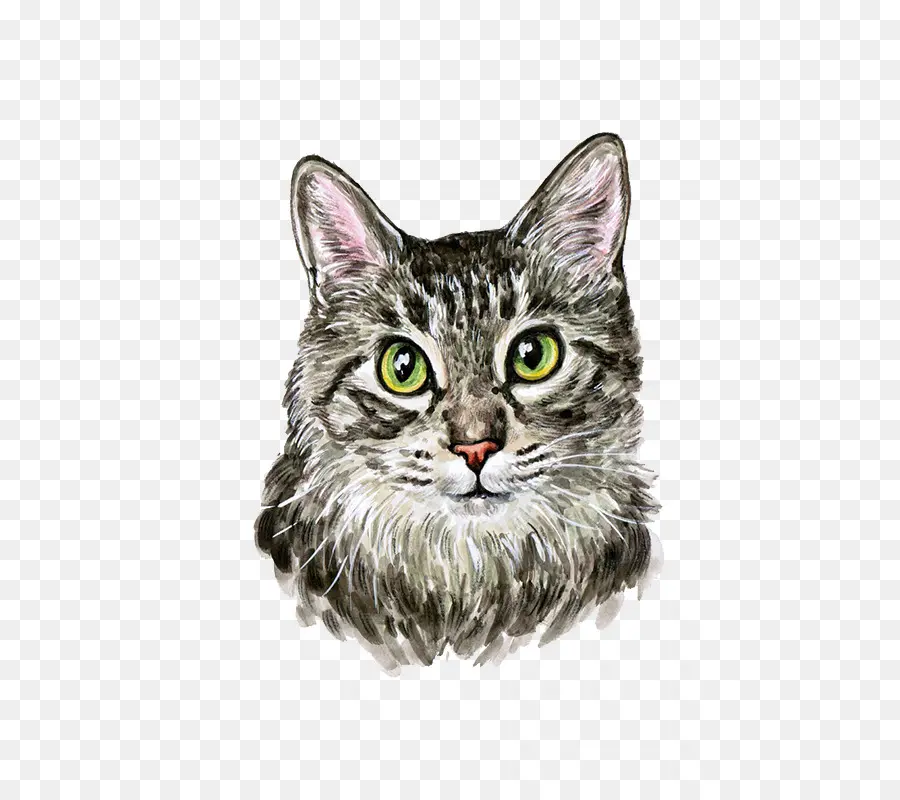 Kucing，Lukisan Cat Air PNG