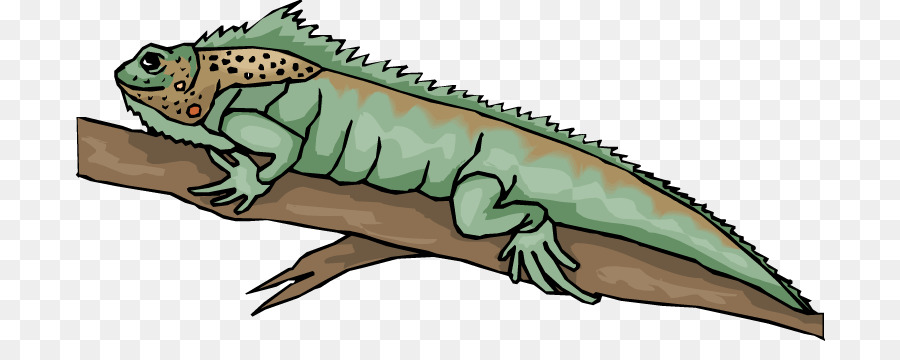 Reptil，Kadal PNG