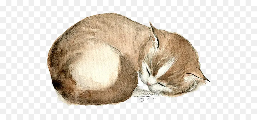 Kucing Tidur，Beristirahat PNG