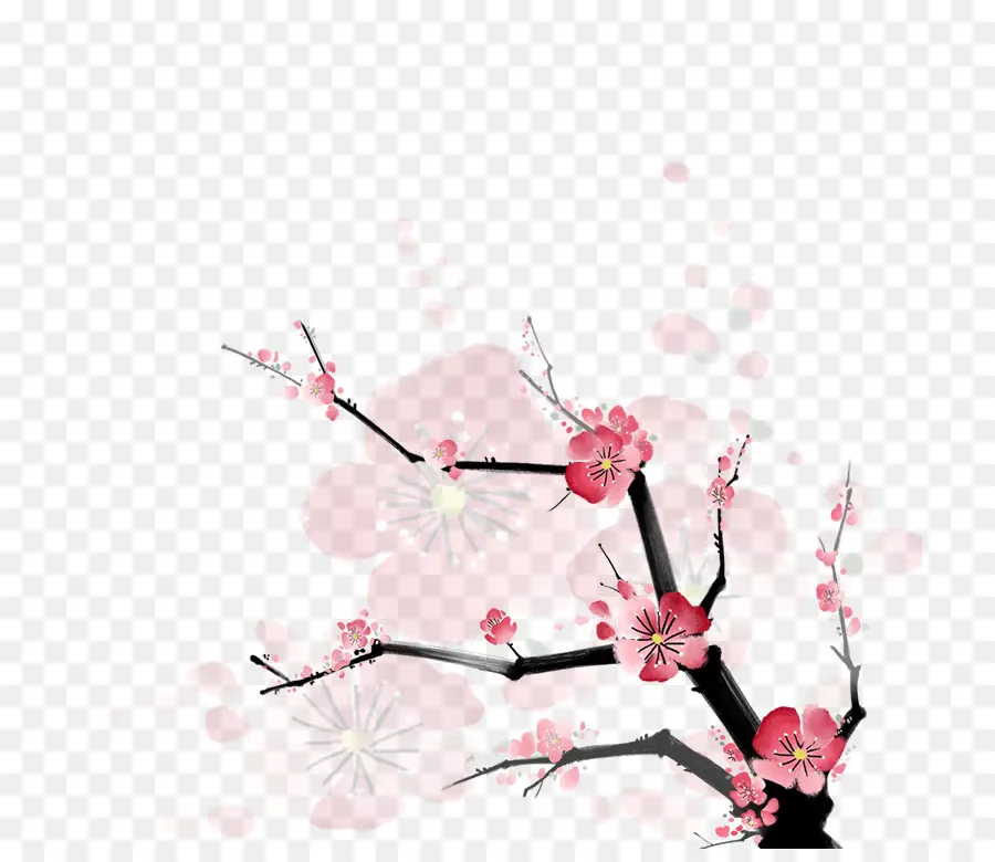 Cabang Bunga Sakura，Musim Semi PNG