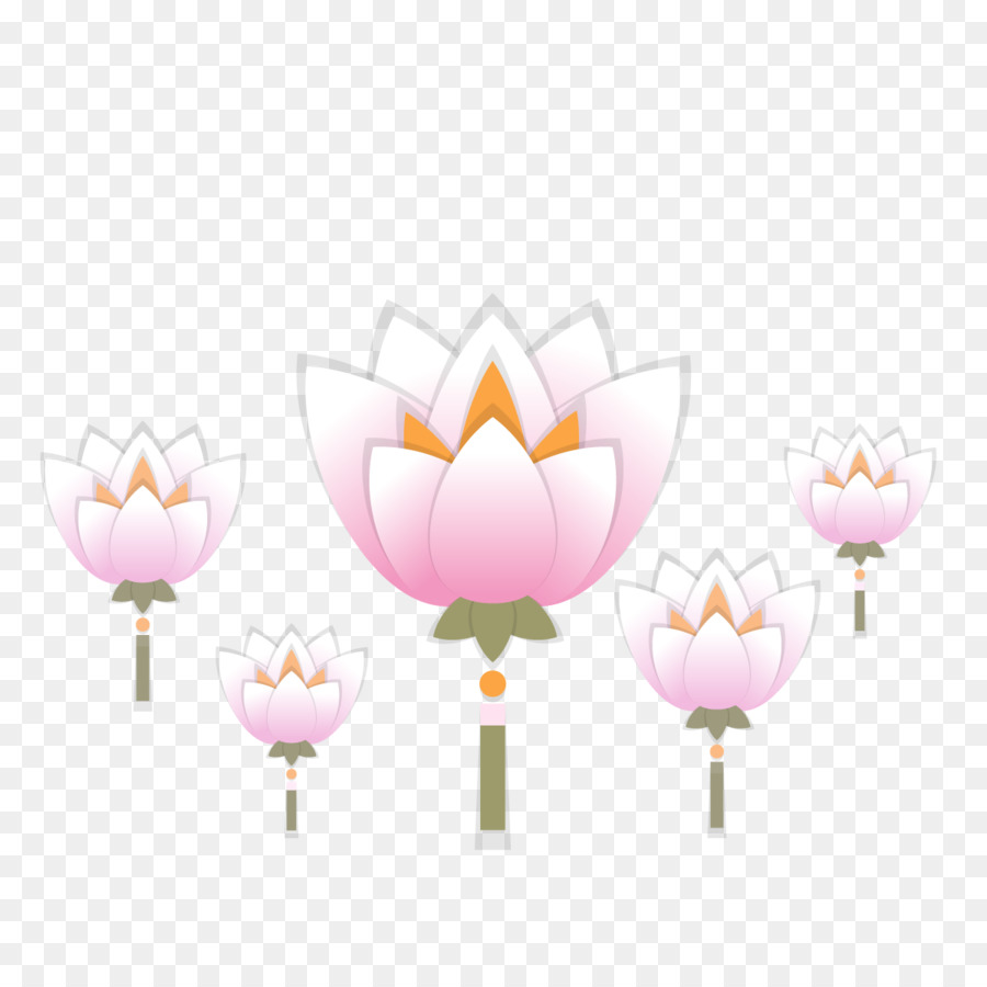 Men Download，Nelumbo Nucifera PNG