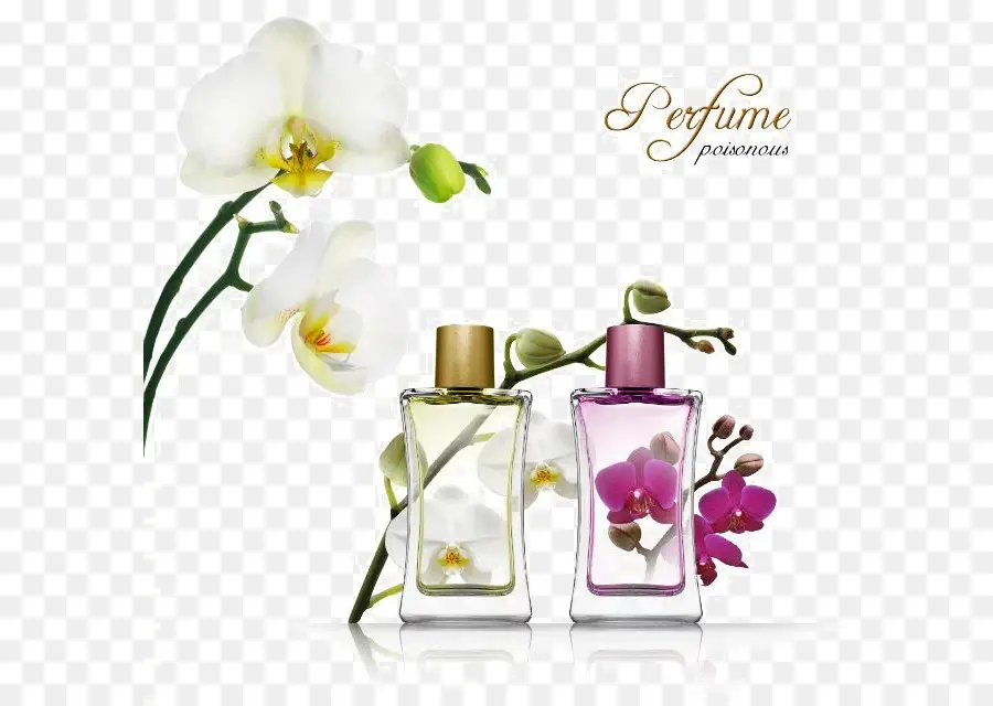 Botol Parfum，Parfum PNG