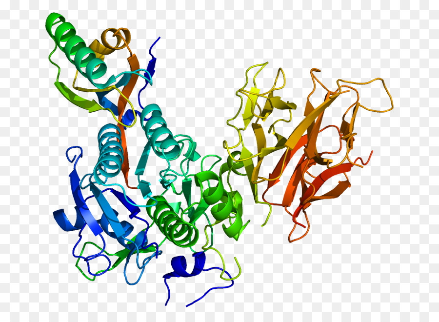 Bococizumab，Protein PNG