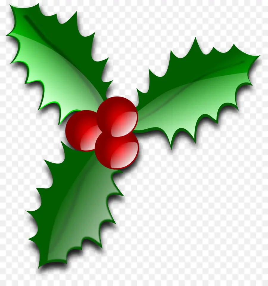 Holly，Daun Daun PNG