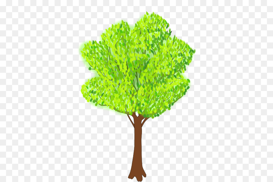 Pohon，Musim Panas PNG