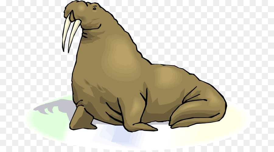 Walrus，Konten Gratis PNG