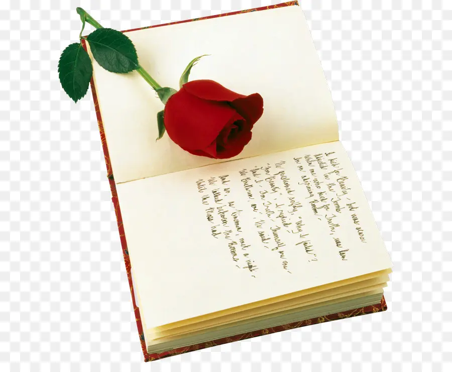 Merah Mawar Merah，Hari Valentine PNG