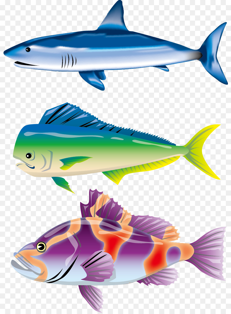 Gambar Ikan Hiu Kartun Berwarna - Gambar Ikan HD