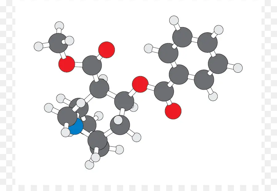 Molekul，Kokain PNG