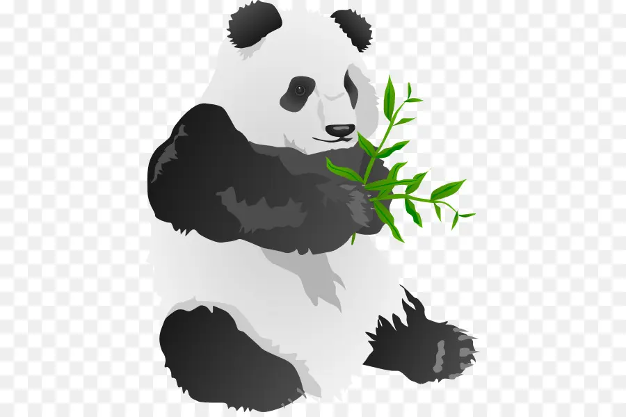 Panda Makan Bambu，Bambu PNG